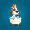 Elegant dog bathing with crown in an old bathtub
