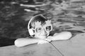 Cute fun kid face of little boy in funny sunglasses in pool in sunny day. Royalty Free Stock Photo