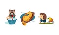 Cute funny animals characters in different actions, raccoon washing clothes in a basin, cat catching a fish in the boat