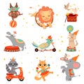 Cute Funny Animals Performing in Circus Show Set, Animal Jumping Through Flaming Hoop, Juggling, Balancing Vector