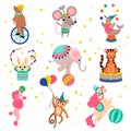 Cute Funny Animals Performing in Circus Show Set Vector Illustration Royalty Free Stock Photo