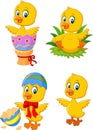 Cute funny baby chicken with Easter egg collection set Royalty Free Stock Photo