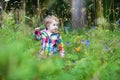 Cute funny baby girl playing in the park on an autumn day Royalty Free Stock Photo