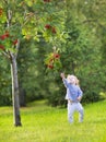 Cute funny baby girl running under a red berry tree