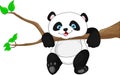 Cute funny baby panda hanging on the tree Royalty Free Stock Photo