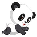 Cute funny baby panda Royalty Free Stock Photo