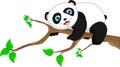 Cute funny baby panda Royalty Free Stock Photo