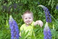 Cute and funny baby in plants. Large and beautiful lupine flowers. Royalty Free Stock Photo