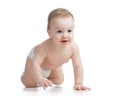 Cute funny baby weared diaper crawling isolated on white Royalty Free Stock Photo