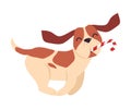 Cute Funny Beagle Dog Running with Candy Cane in its Mouth, Symbol of Xmas and New Year, Happy Winter Holidays Concept