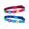 Pet shop collar for cats