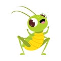 Cute funny big eyed green grasshopper cartoon vector illustration on white background Royalty Free Stock Photo