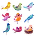 Cute funny birds Set of painted birds. Pastel Pencil.