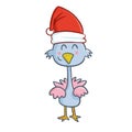 Cute and funny blue chicken wearing Santa`s hat for Christmas Royalty Free Stock Photo