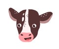 Cute funny calf face. Head portrait of domestic milk farm animal in doodle style. Baby cow muzzle with surprised eyes