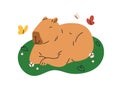 Cute funny capybara sleeping in nature. Happy capy asleep. Sweet lazy capibara animal relaxing, resting in peace