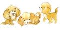 Cute funny cartoon dogs. watercolor puppy pet characters set