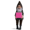 Cute and funny cartoon garden gnome