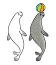 Cute funny cartoon seal