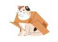 Cute funny cat in box. Awkward confused kitty, amusing kawaii lovely feline animal stuck in cardboard. Comic puzzled