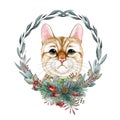 Cute funny cat face with winter season floral wreath decor. Watercolor painted illustration. Funny kitty with winter Royalty Free Stock Photo