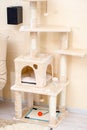 Cute funny cat tree in the living  room with scratcher Royalty Free Stock Photo