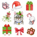 Cute funny cat with winter festive elements set. Watercolor illustration. Hand painted cute kitty, present, gift Royalty Free Stock Photo