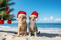 Cute funny cats in Santa Claus hats celebraiting on the tropical beach with Christmas tree. Christmas card concept Royalty Free Stock Photo