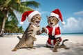 Cute funny cats wearing Santa Claus hats and celebraiting on the tropical beach with palm trees. Christmas card concept Royalty Free Stock Photo