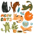 Cute and funny colorful cats set