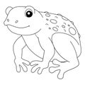 Cane Toad Frog Animal Coloring Page Isolated