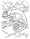 Chameleons Coloring Page for Kids