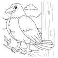 Eagle Animal Coloring Page for Kids