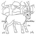 Oryx Coloring Page for Kids