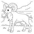 Urial Animal Coloring Page for Kids