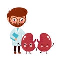 Cute funny doctor and healthy happy kidneys