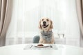 Cute funny dog sitting at served dining table