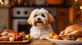 Cute funny dog at table in kitchen Royalty Free Stock Photo