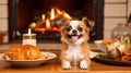 Cute funny dog at table in kitchen Royalty Free Stock Photo