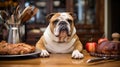 Cute funny dog at table in kitchen Royalty Free Stock Photo