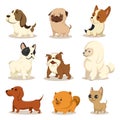 Cute funny dog vector cartoon set Royalty Free Stock Photo