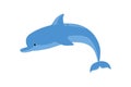 Cute funny dolphin jump out of water. Friendly ocean mammal. Royalty Free Stock Photo