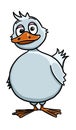 Cute funny duck cartoon