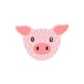 Cute funny face of mini pig. Amusing head portrait of piglet in doodle style. Lovely adorable snout of young domestic