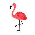 Cute funny flamingo standing on one leg. Tropical pink bird drawn in doodle style. Colored flat vector illustration of