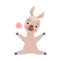 Cute funny fluffy baby llama greeting saying Hi. Alpaca character domesticated animal cartoon vector illustration
