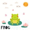 Cute funny frog in pond sitting on water lily leaf Royalty Free Stock Photo