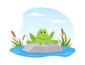 Cute Funny Frog in Summer Pond, Scene with Frog Sitting on Stone Cartoon Vector Illustration Royalty Free Stock Photo