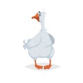 Cute funny goose. Cartoon flat style comic style. Happy domestic farm bird looking around. Vector illustration