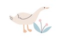 Cute funny goose and plant. Adorable sweet lovely kawaii bird, feathered animal in Scandinavian style. Kids childish